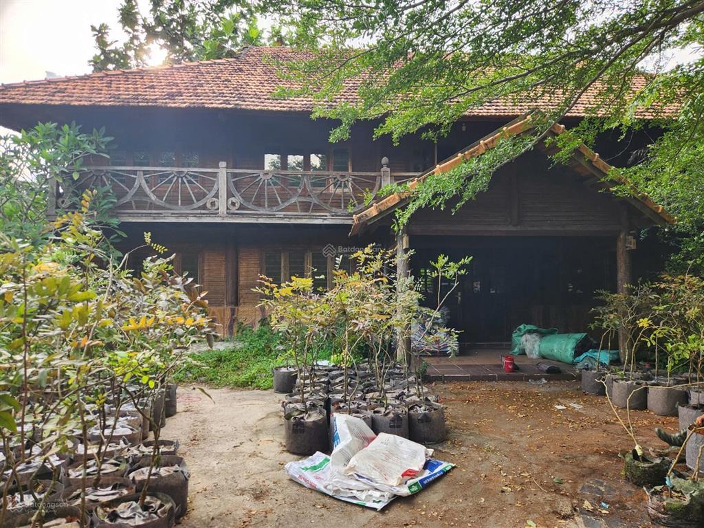 Cho thuê đất rộng 26.000m² tại xã trung lập thượng, huyện củ chi