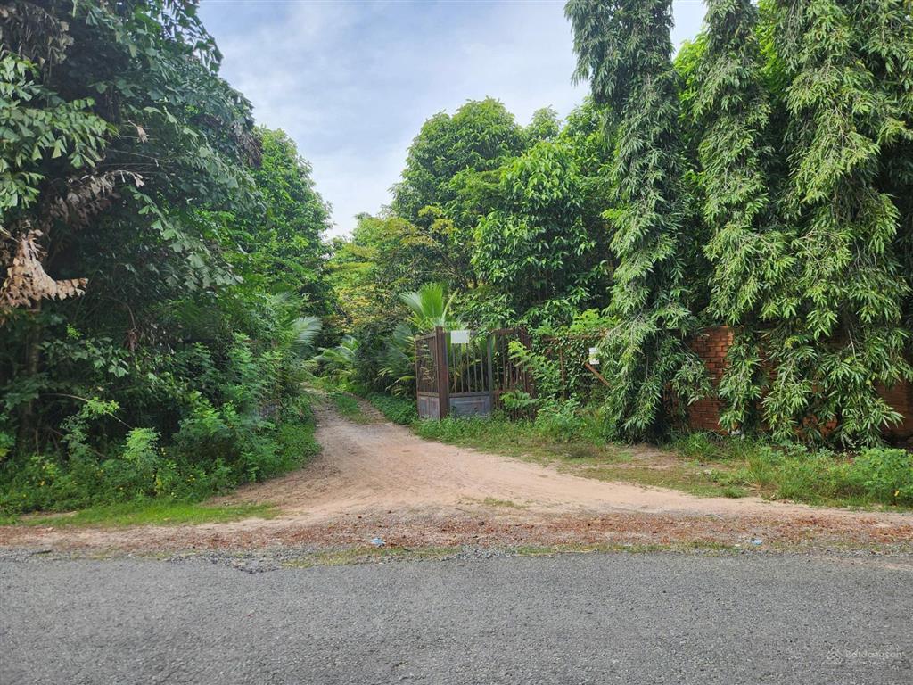 Cho thuê đất rộng 26.000m² tại xã trung lập thượng, huyện củ chi