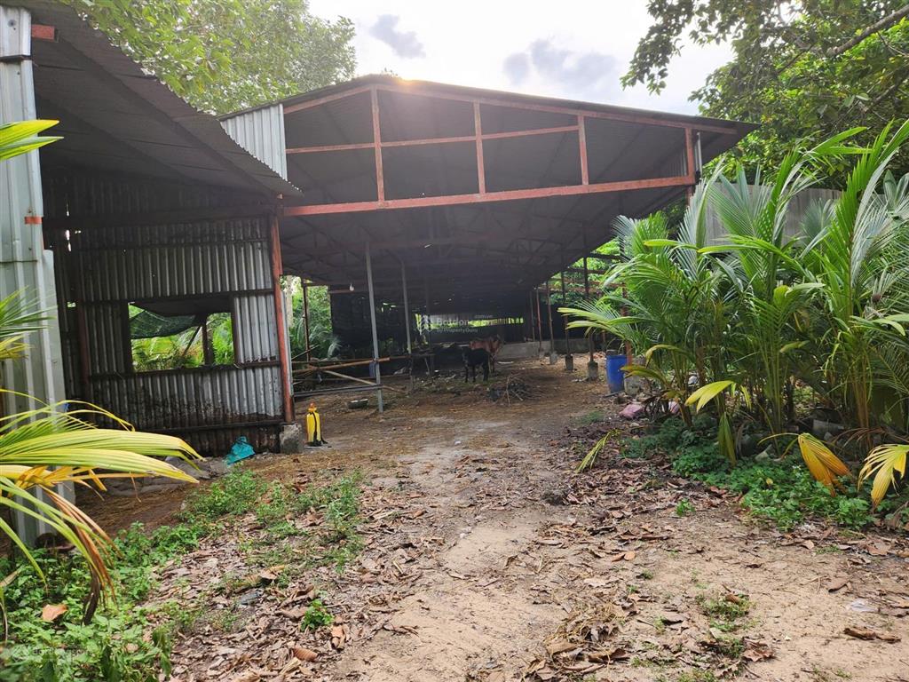Cho thuê đất rộng 26.000m² tại xã trung lập thượng, huyện củ chi