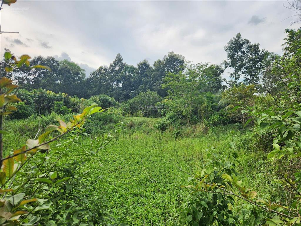 Cho thuê đất rộng 26.000m² tại xã trung lập thượng, huyện củ chi