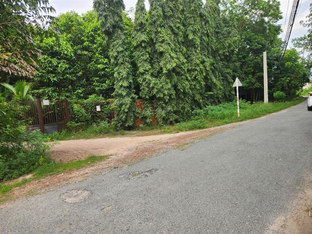 Cho thuê đất rộng 26.000m² tại xã trung lập thượng, huyện củ chi