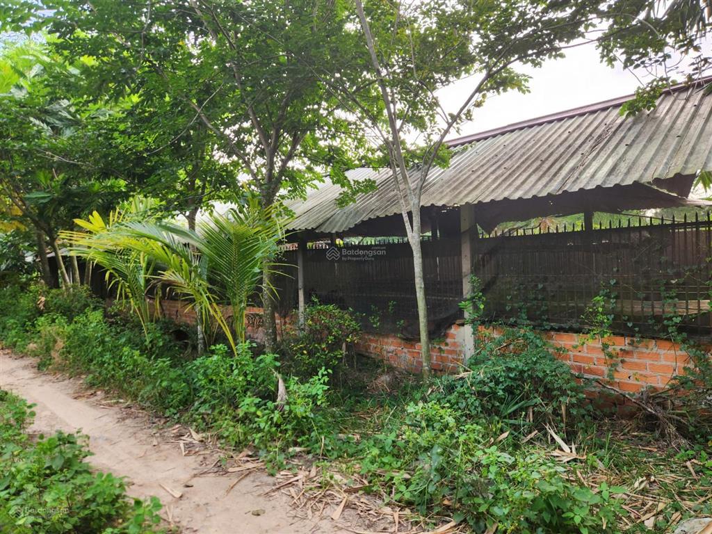 Cho thuê đất rộng 26.000m² tại xã trung lập thượng, huyện củ chi