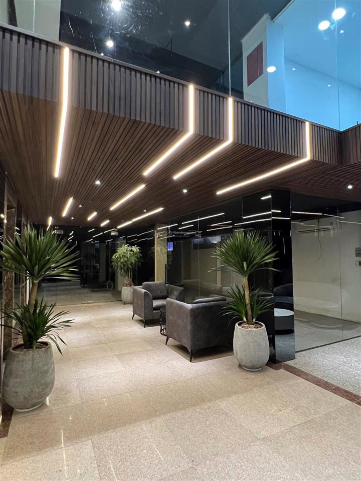 Cho thuê vp mạc đĩnh chi q1, 180m2, full fitout nội thất cho 50 người, vào làm được ngay