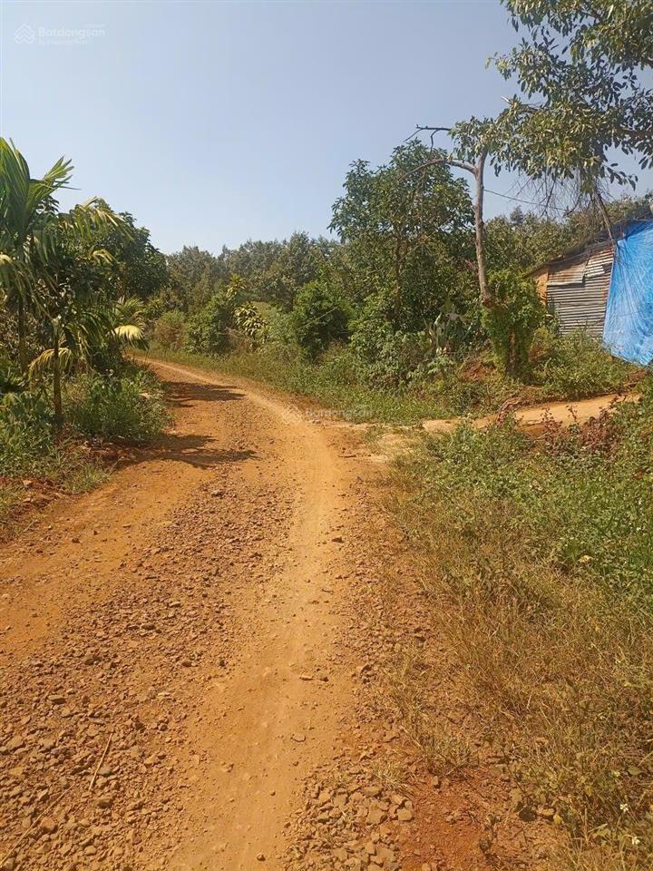 Bán đất vườn s 2,1ha, full sổ, full cà, mặt đường hơn 100m, view sông tà đùng