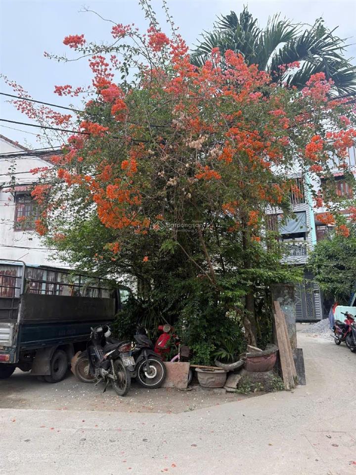 Tôi chính chủ bán đất 2 mặt kiệt 699 tôn đản, phường hòa phát , quận cẩm lệ, tp. đà nẵng