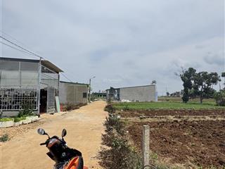 Bán đất 124m2 tại thị trấn liên nghĩa, huyện đức trọng, lâm đồng, giá cực chất 950 triệu vnd