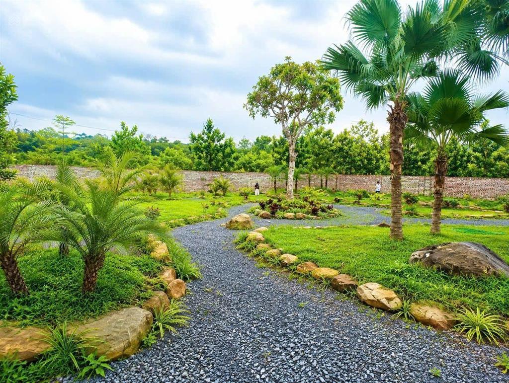 Bán nền đất hòa lạc 863m2, 17 triệu/m  thạch thất, hà nội