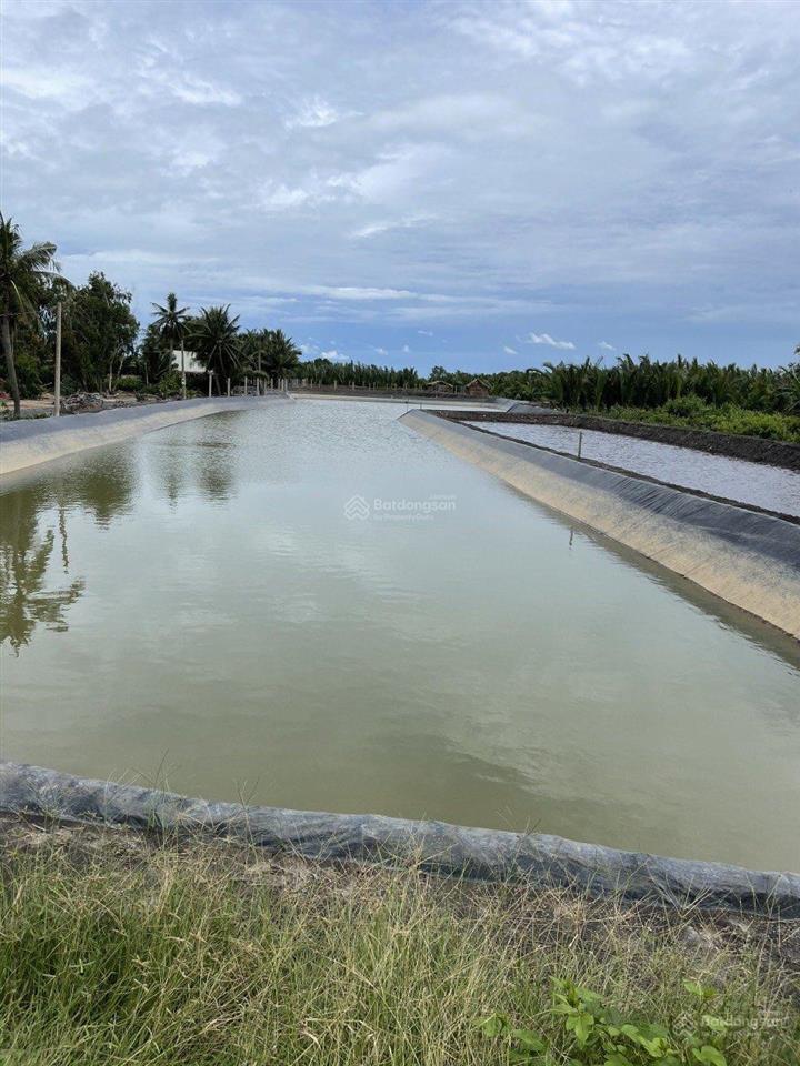 Chính chủ bán 7000m2 mặt tiền đê ec
