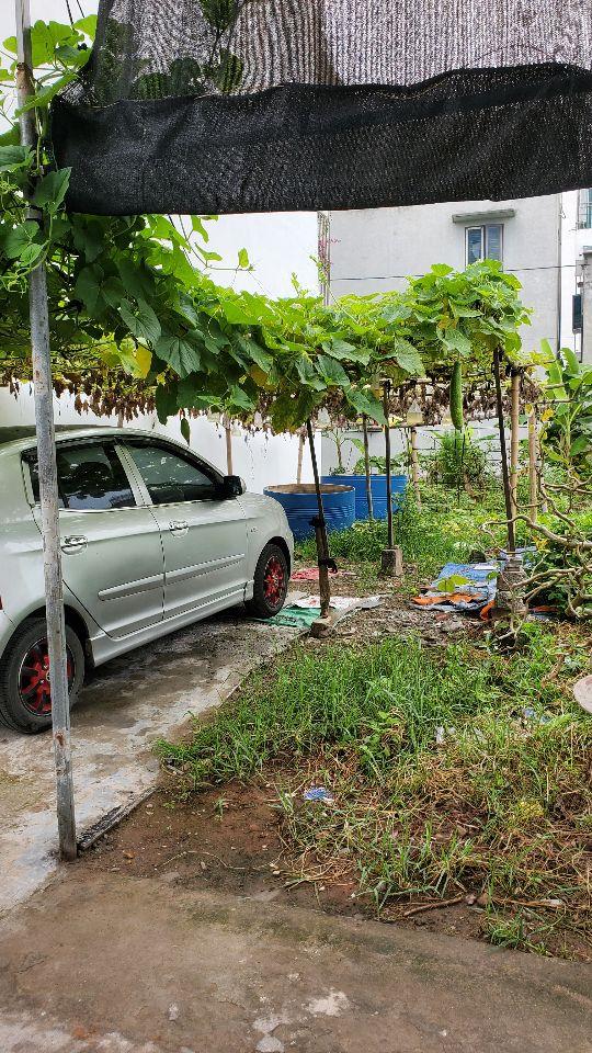 Bán đất chính chủ TP Thái Bình, ngõ ô tô vào nhà