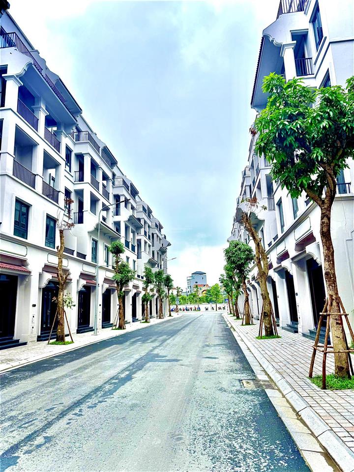 Cho thuê giá tham khảo tốt trong khu vực ở vinhomes cổ loa,9 triệu/tháng, 62.5 m²