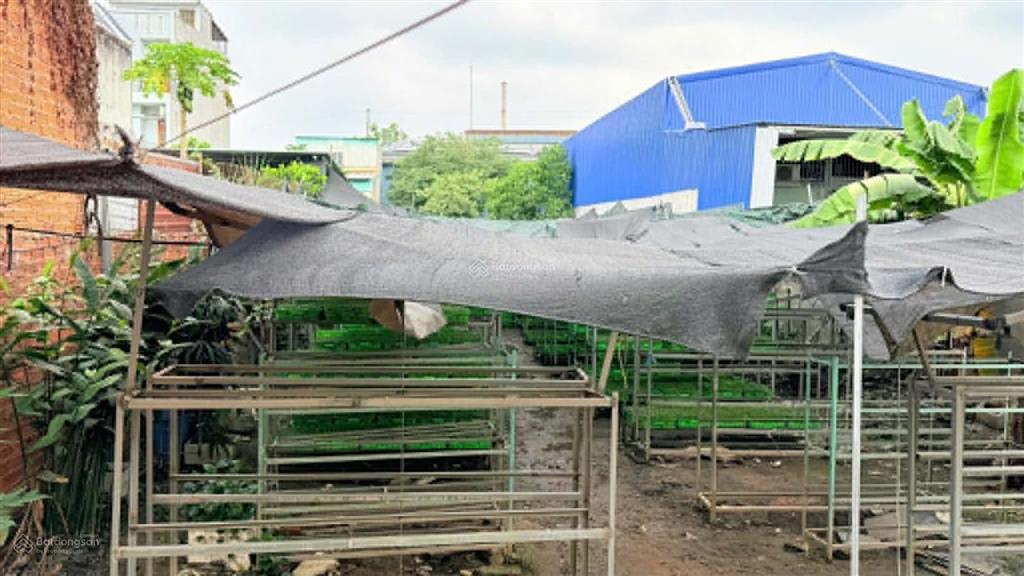 Bán đất kdc bình chuẩn đã chuyển đổi mục đích 100%
