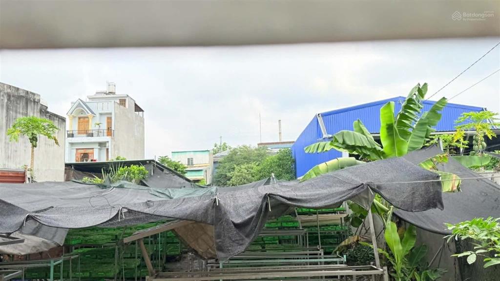 Bán đất kdc bình chuẩn đã chuyển đổi mục đích 100%