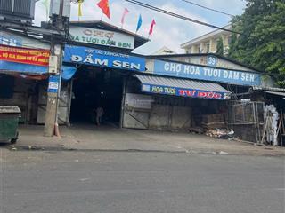 Mặt tiền đường nguyễn văn phú, p5, q11, chợ sỉ hoa tươi đầm sen, 4x17m, 4 tầng. 28,5 tỷ tl