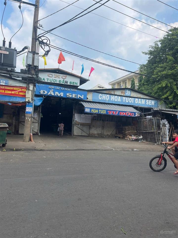 Shophouse mặt tiền đường nguyễn văn phú, p5, q11. ngay chợ sỉ hoa tươi đầm sen. giá 15,3 tỷ tl