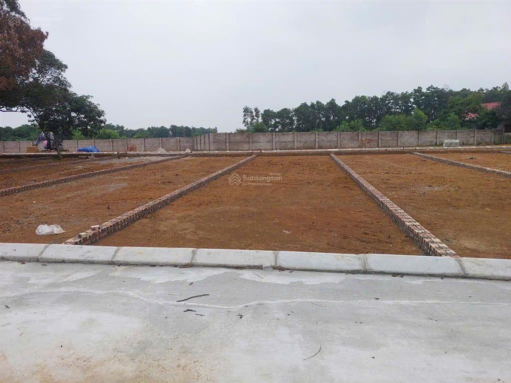 Cần bán nhanh đất thị trấn ba hàng đồi, 6triệu / m2, 80 m2, giá tốt, bán gấp