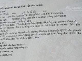 Chính chủ bán đất thôn bắc, ninh tân, ninh hoà cũ
