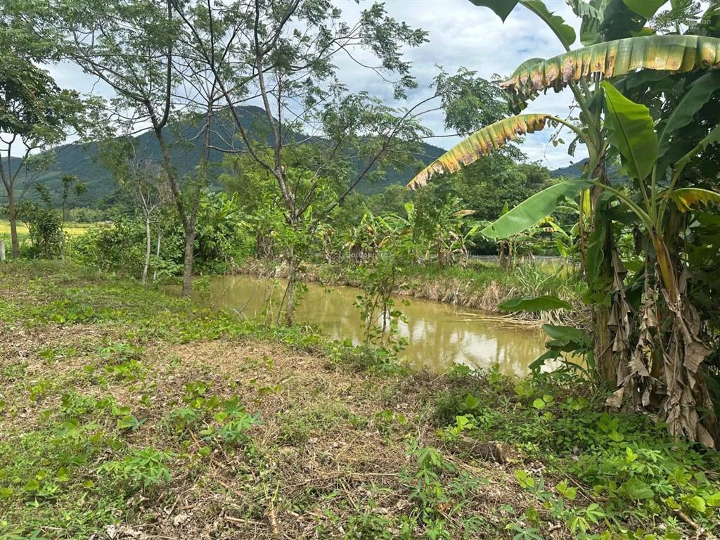 Bán đất có sẵn ao sẵn nhà có mó nước chảy quanh năm thoáng mát view đẹp