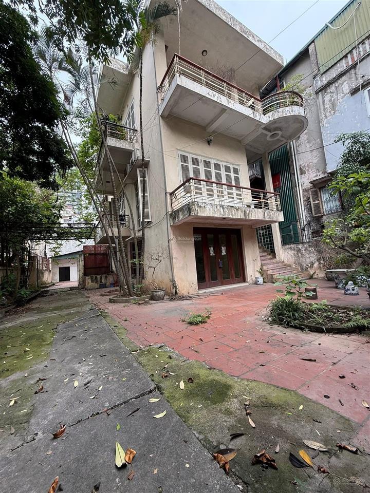 430m2  lô góc  50m ra phố  ô tô  gí tốt