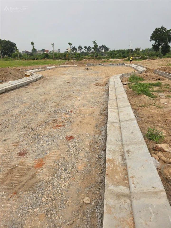 View vườn hoa ô tô tránh mt khủng kim chungthiên lộc