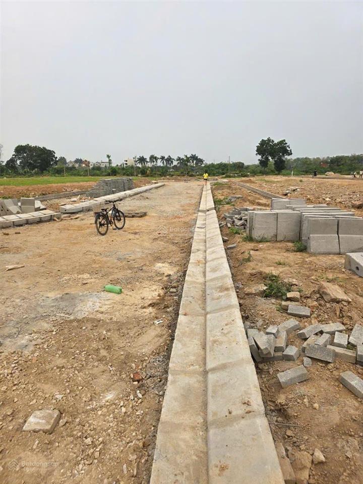 View vườn hoa ô tô tránh mt khủng kim chungthiên lộc