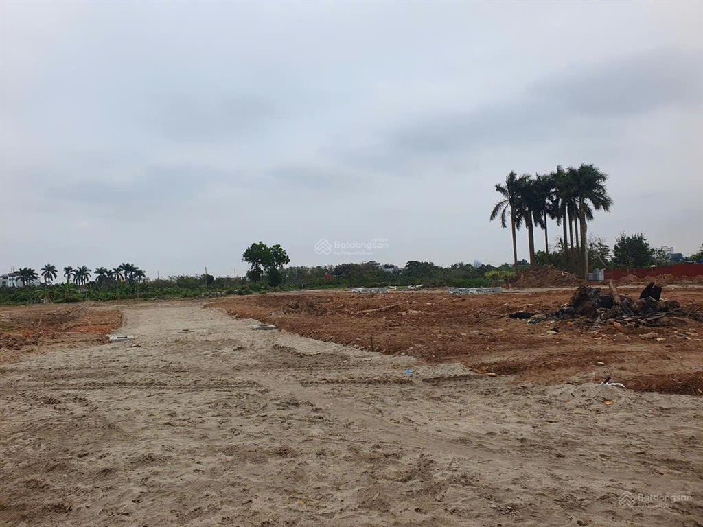 View vườn hoa ô tô tránh mt khủng kim chungthiên lộc