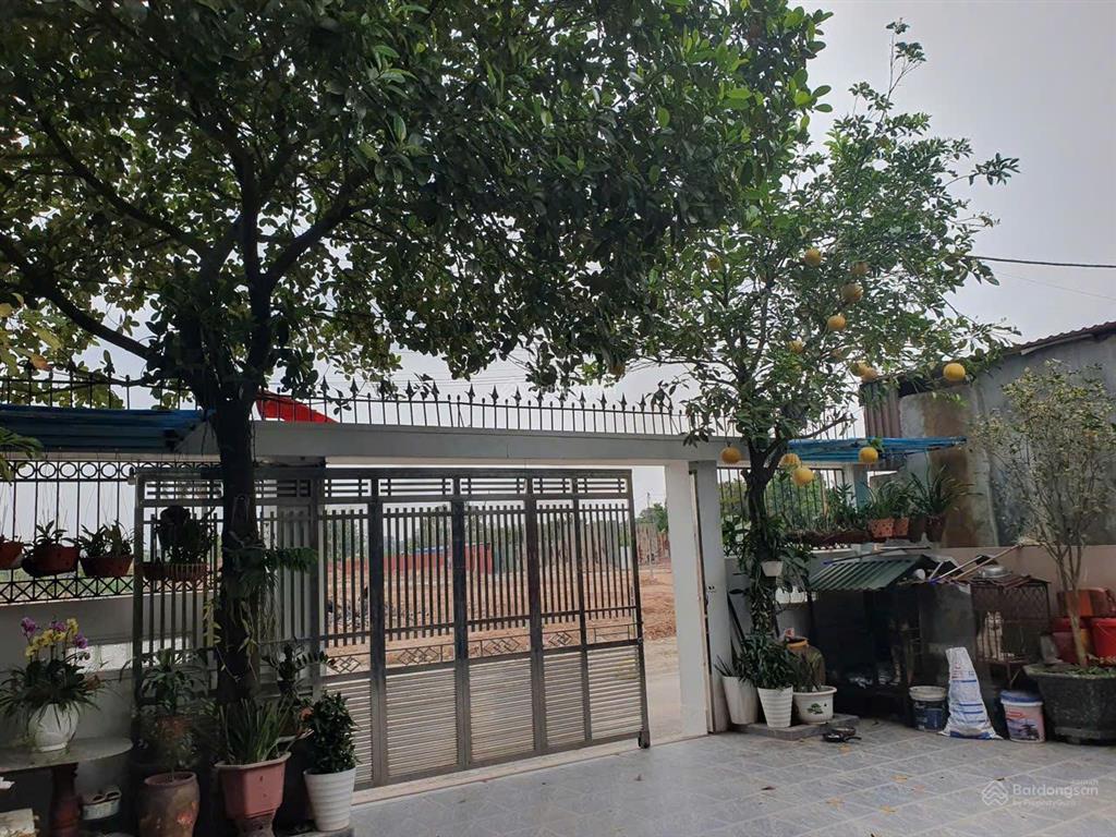 View vườn hoa ô tô tránh mt khủng kim chungthiên lộc