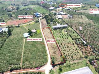 100m mặt tiền hẻm betong 5m, cách lý thái tổ 50m, gần thác đambri, nhánh vào cao tốc 1km, tu viện.