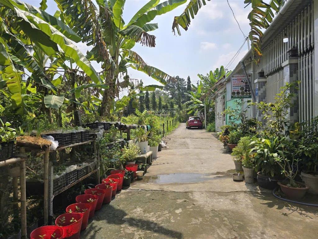Góc bán đất nền thổ cư 5x28m giá 420 tr, vị trí khu 3, thị trấn chợ gạo, tiền giang cũ