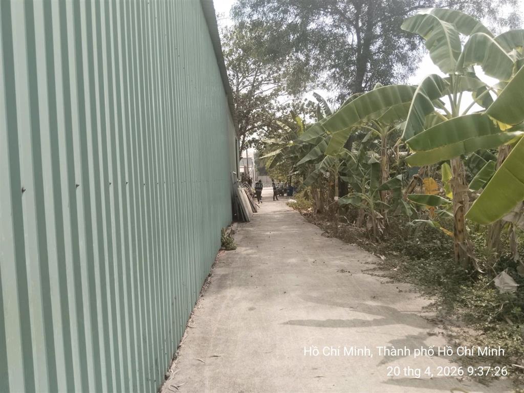Bán đất + nhà kho dt 10.116 m2, quận 9, chỉ 250 tỷ, mt lã xuân oai
