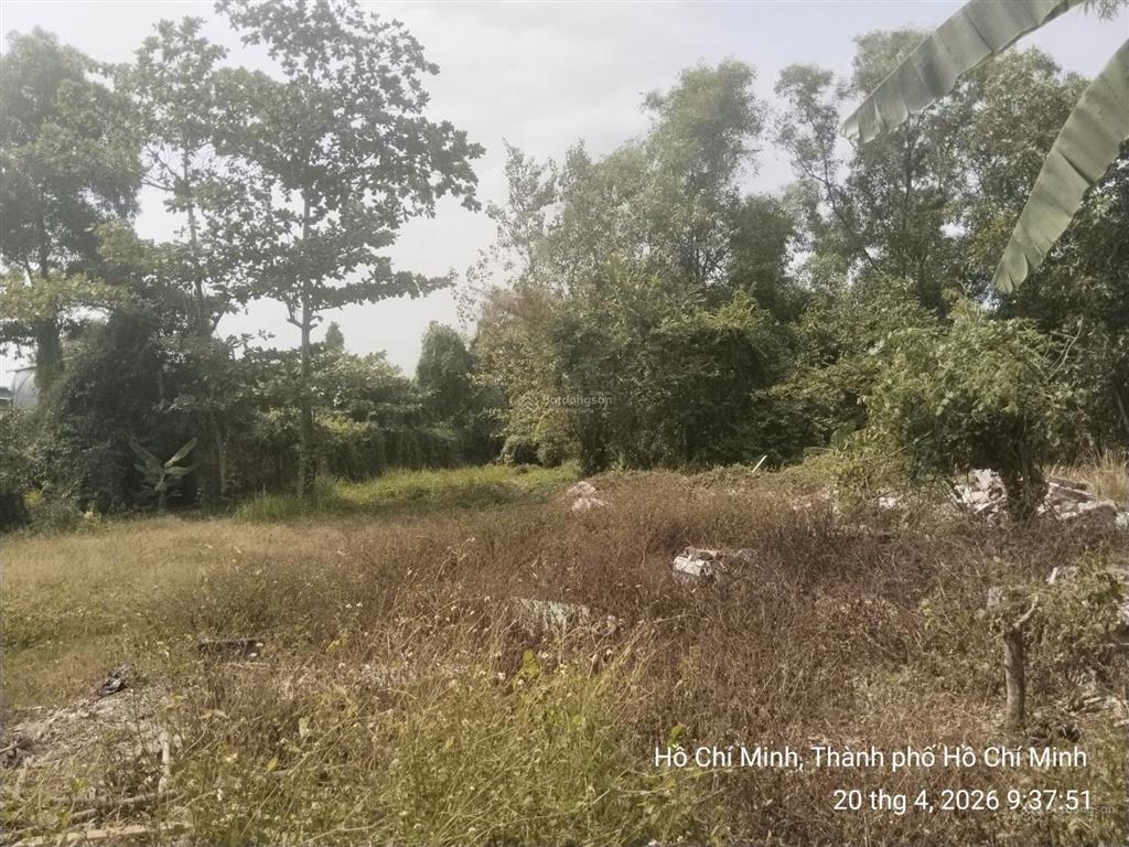 Bán đất + nhà kho dt 10.116 m2, quận 9, chỉ 250 tỷ, mt lã xuân oai
