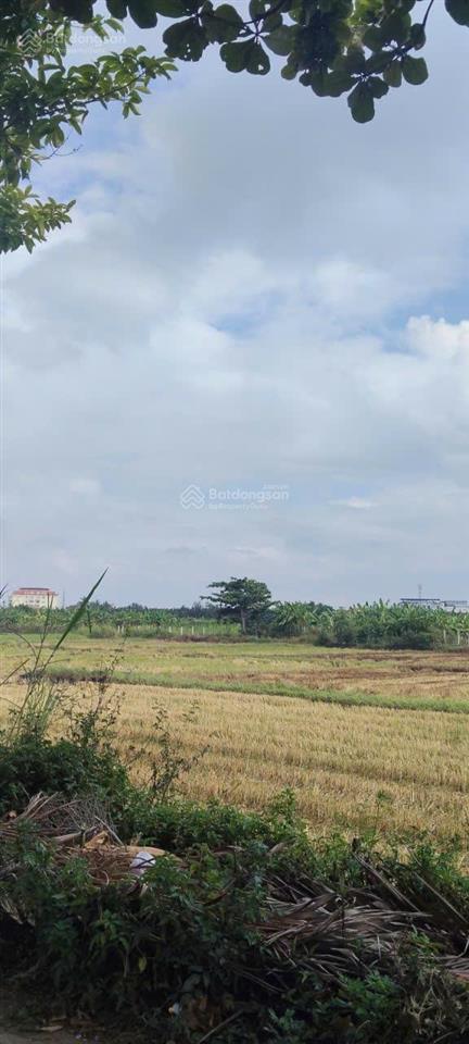 Chào bán lô đất đường trần nhân tông,xã cẩm thanh, tp. hội an