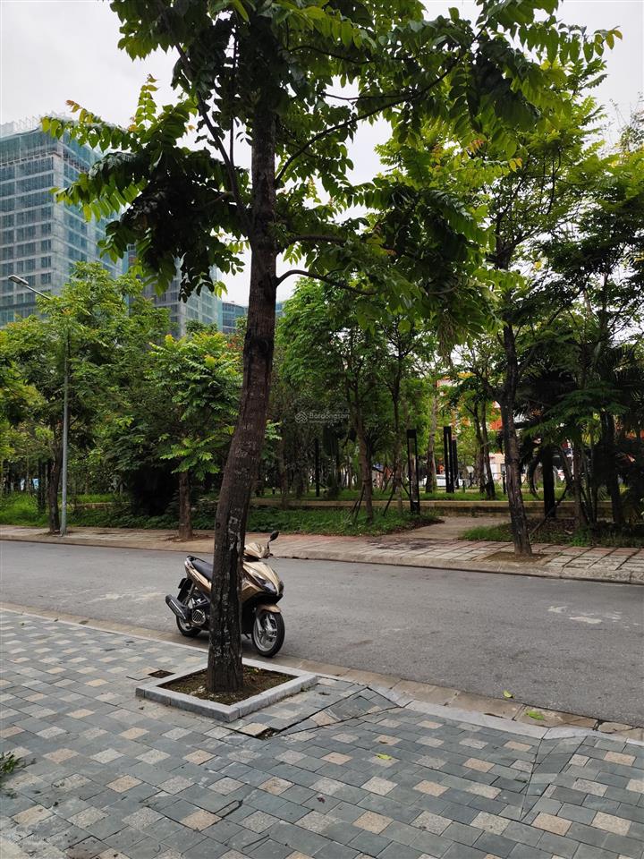 Bán biệt thự view công viên mặt vườn hoa c14 phúc đồng 145m² , mt 7,8m nhà 6 tầng giá 52,5 tỷ .