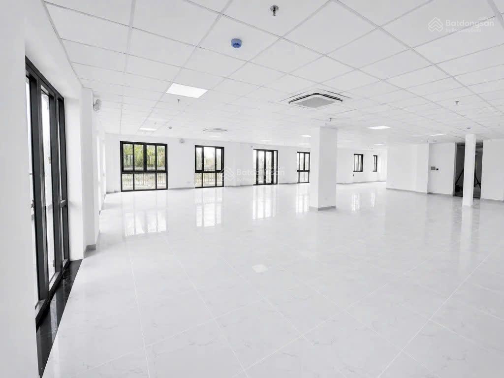 Cho thuê tòa nhà siêu phẩm 12x20 trung tâm quận 3