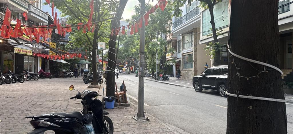 (chính chủ) bán nhà riêng tại phan kế bính, 21 tỷ, 53 m2 x 4 tầng