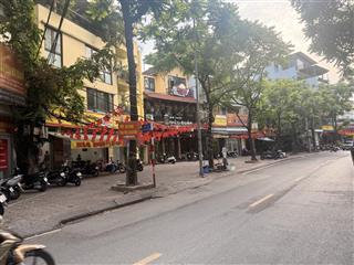 (chính chủ) bán nhà riêng tại phan kế bính, 21 tỷ, 53 m2 x 4 tầng
