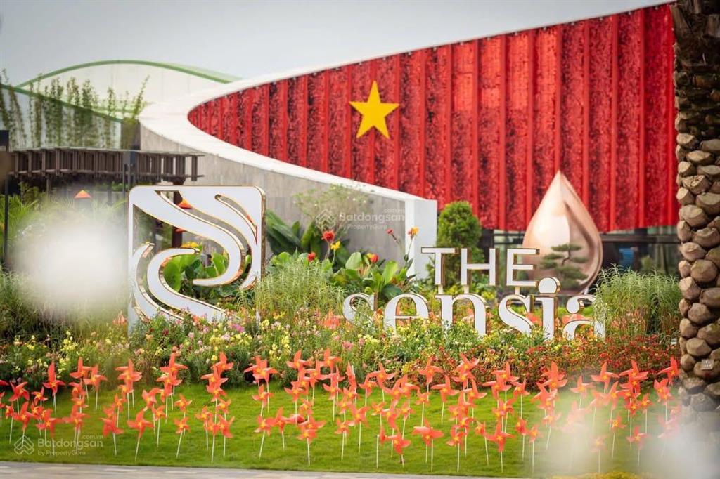 Chốt ngay kẻo mất  căn duy nhất the sensia trí dương