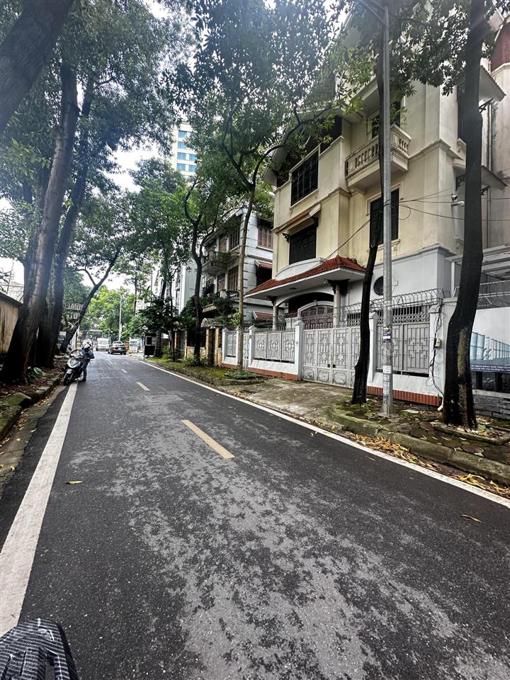 Bán nhà biệt thự b1b2 tây nam linh đàm, 58,9 tỷ, 216m2, đẹp nhiều tiện ích