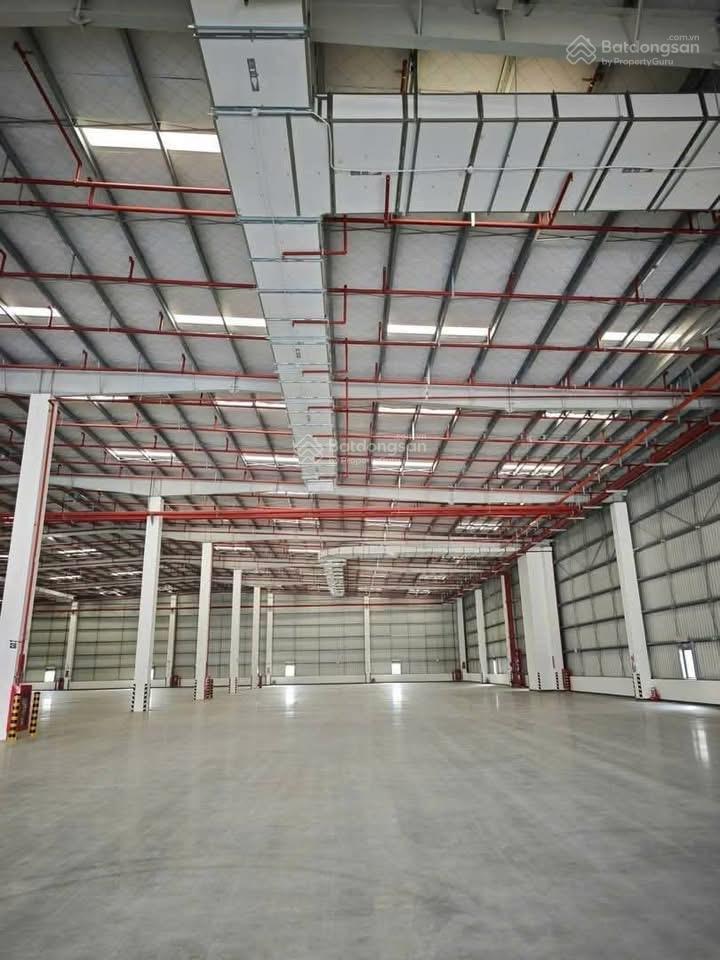 Cho thuê 14.000m2 kho cái răng cần thơ