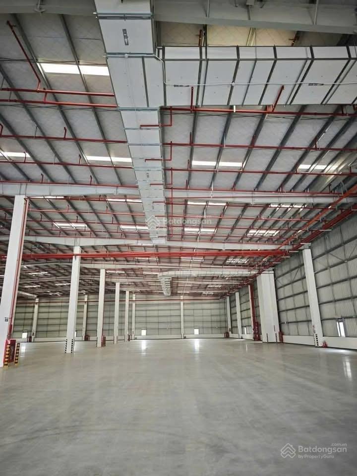 Cho thuê lâu dài 30.000m2 kho xưởng vĩnh long