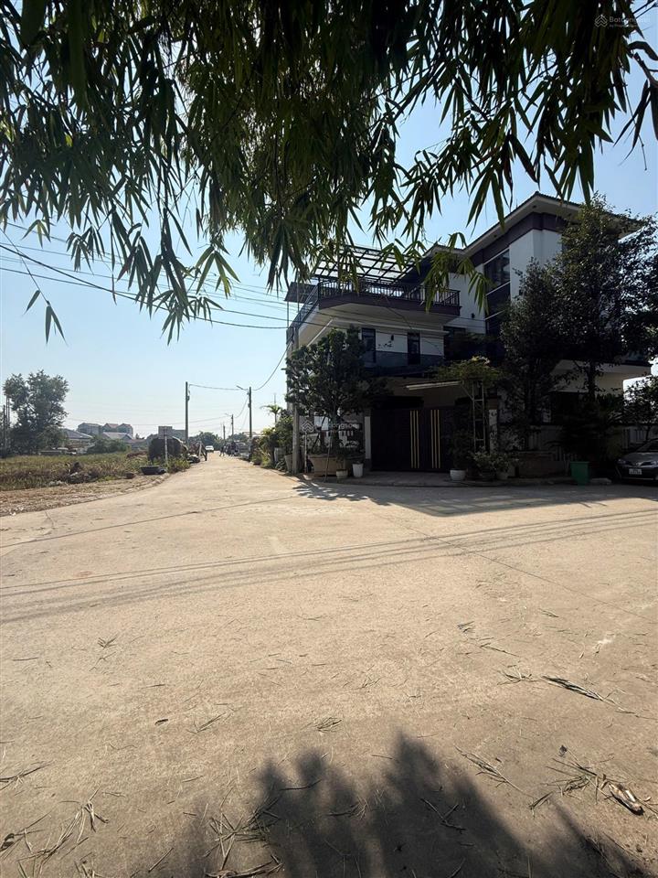 Bán đất đấu giá đồng bưởi  sen phương  phúc thọ 199.2m² lô góc 2 mặt tiền. ô tô chạy vòng quanh