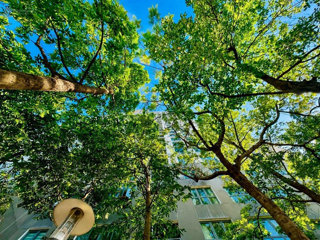 Giá tốt mulberry lane căn 2pn tòa a view hồ trung văn giá 5.8 tỷ