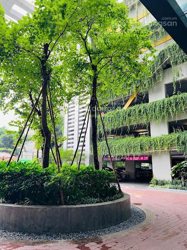 Bán gấp chcc 2 ngủ seasons avenue 81m2 tại tòa s2 tầng trung siêu thoáng giá 6.6 tỷ