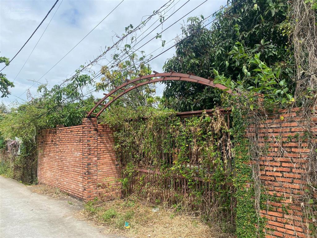 Bán đất ở nông thôn, giá 20tr/m2, diện tích 654m2