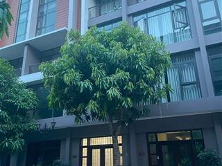 7,9 tỷ mua nhà ngõ chật trong phố hay sở hữu nhà phố 5 tầng vinhomes ocean park 3?