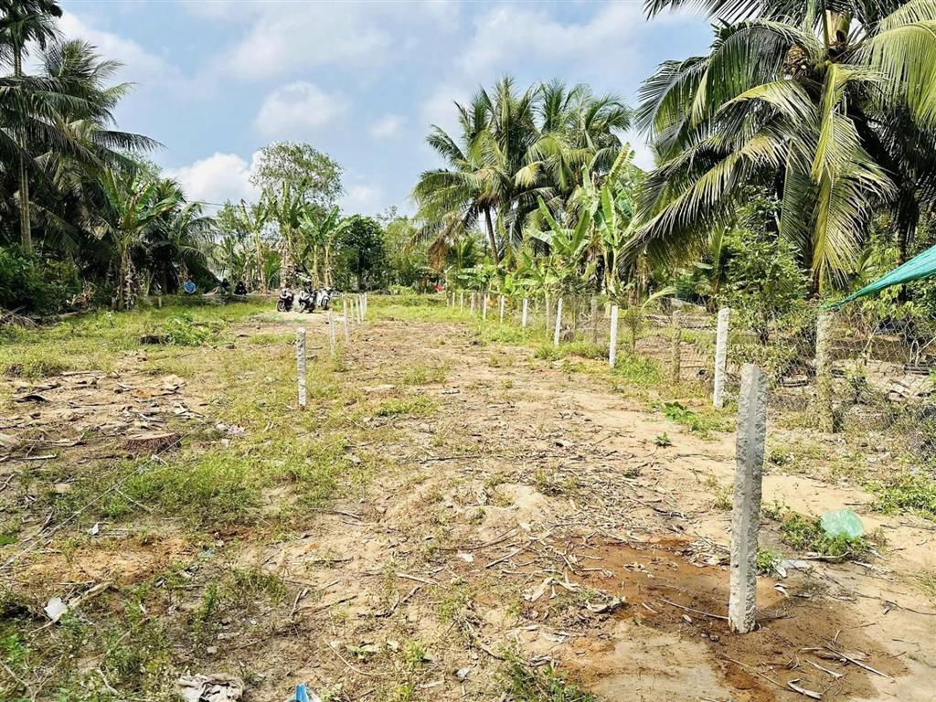Nền cách đh cửu long 8km, gần kcn gần 908 đường vào cao tốc, vĩnh long