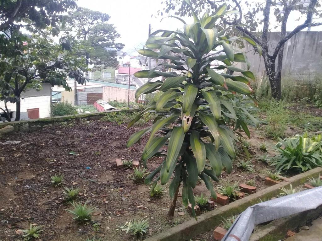 Chính chủ cần bán đất nông nghiệp đường huyền trân công chúa thành phố đà lạt