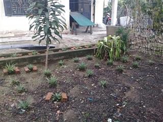 Chính chủ cần bán đất nông nghiệp đường huyền trân công chúa thành phố đà lạt