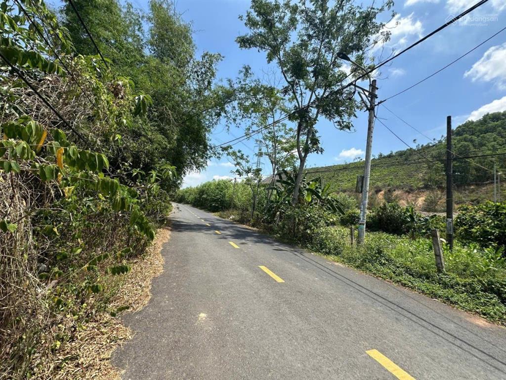 Bán đất thôn hoà thọ xã hoà phú huyện hoà vang  diện tích 516m2