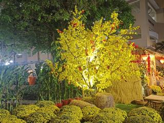 Góc bán căn hộ sunview town, gò dưa, 2pn 2wc, 68m2, căn góc 2view  thoáng mát  3tỷ09, thương lượng