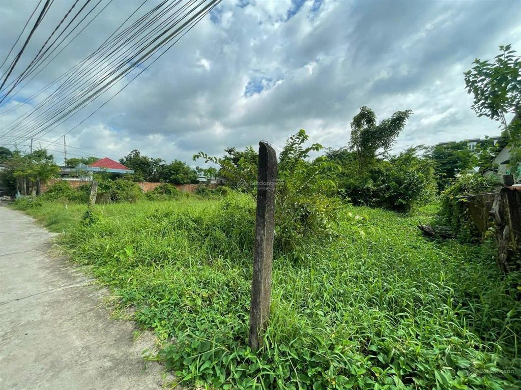 Đất odt, 1508m2, nằm ngay ql1a tân an